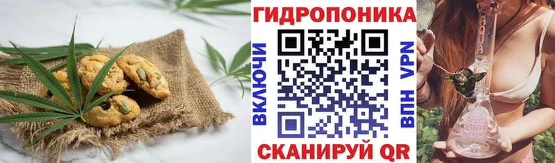 Canna-Cookies марихуана  Купить где  Воронеж
