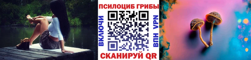 Купить  Воронеж  Псилоцибиновые грибы Psilocybe 